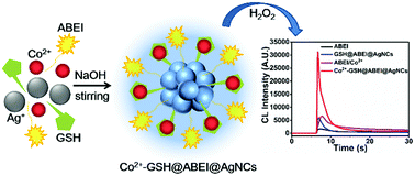 Graphical abstract: Highly chemiluminescent silver nanoclusters with a dual catalytic center
