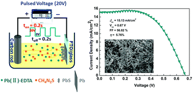 Graphical abstract: Pulsed voltage deposited hierarchical dendritic PbS film as a highly efficient and stable counter electrode for quantum-dot-sensitized solar cells