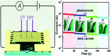Graphical abstract: The effect of N,N-dimethylformamide on MAPbI3 nanowires for application in flexible photodetectors