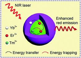 Graphical abstract: A novel strategy for markedly enhancing the red upconversion emission in Er3+/Tm3+ cooperated nanoparticles