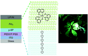 Graphical abstract: Highly efficient crystalline organic light-emitting diodes