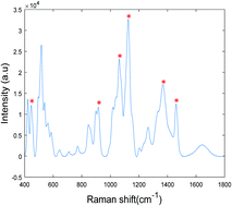 Graphical abstract: Analysis of bodily fluids using vibrational spectroscopy: a direct comparison of Raman scattering and infrared absorption techniques for the case of glucose in blood serum