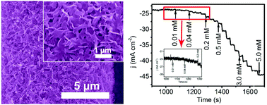 Graphical abstract: A MoN nanosheet array supported on carbon cloth as an efficient electrochemical sensor for nitrite detection