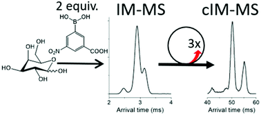 Graphical abstract: Carbohydrate isomer resolution via multi-site derivatization cyclic ion mobility-mass spectrometry