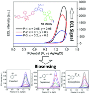 Graphical abstract: Amplified electrochemiluminescence signals promoted by the AIE-active moiety of D–A type polymer dots for biosensing