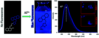 Graphical abstract: Synthesis and cell imaging studies of an unusual “OFF–ON” fluorescent sensor containing a triazole unit for Al3+ detection via selective imine hydrolysis