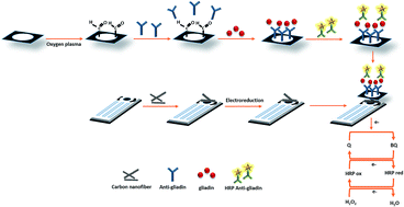 Graphical abstract: Electrochemical immunosensor modified with carbon nanofibers coupled to a paper platform for the determination of gliadins in food samples