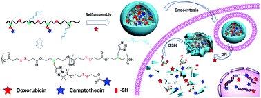 Graphical abstract: GSH/pH dual-responsive biodegradable camptothecin polymeric prodrugs combined with doxorubicin for synergistic anticancer efficiency