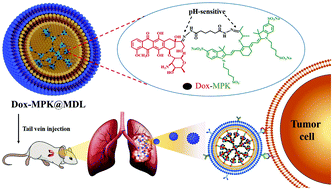 Graphical abstract: Fabricating an intelligent cell-like nano-prodrug via hierarchical self-assembly based on the DNA skeleton for suppressing lung metastasis of breast cancer