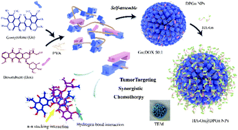 Graphical abstract: PVA reinforced gossypolone and doxorubicin π–π stacking nanoparticles towards tumor targeting and ultralow dose synergistic chemotherapy