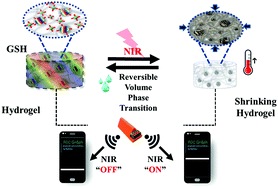 Graphical abstract: Photothermal-modulated reversible volume transition of wireless hydrogels embedded with redox-responsive carbon dots