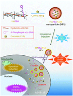 Graphical abstract: Esterase-sensitive cleavable histone deacetylase inhibitor-coupled hyaluronic acid nanoparticles for boosting anticancer activities against lung adenocarcinoma