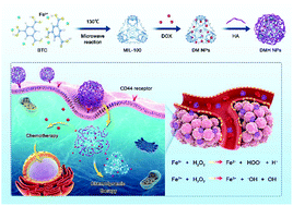 Graphical abstract: Doxorubicin-loaded nanoscale metal–organic framework for tumor-targeting combined chemotherapy and chemodynamic therapy