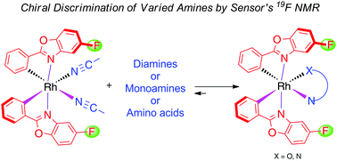 Graphical abstract: A chiral sensor for recognition of varied amines based on 19F NMR signals of newly designed rhodium complexes