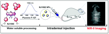 Graphical abstract: Novel aza-BODIPY based small molecular NIR-II fluorophores for in vivo imaging