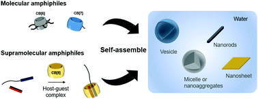 Graphical abstract: Cucurbit[n]uril-based amphiphiles that self-assemble into functional nanomaterials for therapeutics