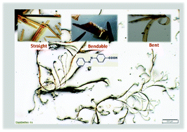 Graphical abstract: Straight, bendable and bent organic crystals