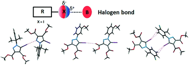 Graphical abstract: Halogen bonding in 5-iodo-1-arylpyrazoles investigated in the solid state and predicted by solution 13C-NMR spectroscopy