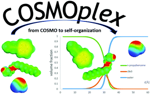 Graphical abstract: COSMOplex: self-consistent simulation of self-organizing inhomogeneous systems based on COSMO-RS