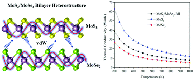 Graphical abstract: First-principles calculations of thermal transport properties in MoS2/MoSe2 bilayer heterostructure