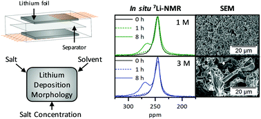 Graphical abstract: In situ 7Li-NMR analysis of lithium metal surface deposits with varying electrolyte compositions and concentrations