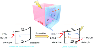 Graphical abstract: Mutually-dependent kinetics and energetics of photocatalyst/co-catalyst/two-redox liquid junctions