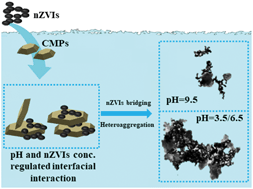 Graphical abstract: The pH and concentration dependent interfacial interaction and heteroaggregation between nanoparticulate zero-valent iron and clay mineral particles
