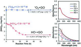 Graphical abstract: Reactivity of graphene oxide with reactive oxygen species (hydroxyl radical, singlet oxygen, and superoxide anion)