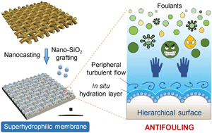 Graphical abstract: Hierarchically textured superhydrophilic polyvinylidene fluoride membrane via nanocasting and post-fabrication grafting of surface-tailored silica nanoparticles