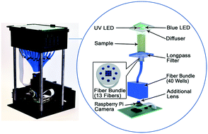 Graphical abstract: Early detection of E. coli and total coliform using an automated, colorimetric and fluorometric fiber optics-based device
