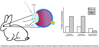 Graphical abstract: Quantitative proteomic analysis of aqueous humor after rabbit lensectomy reveals differences in coagulation and immunomodulatory proteins