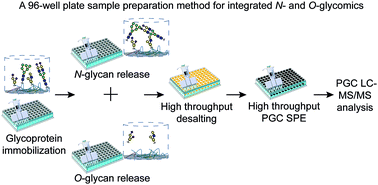 Graphical abstract: Development of a 96-well plate sample preparation method for integrated N- and O-glycomics using porous graphitized carbon liquid chromatography-mass spectrometry