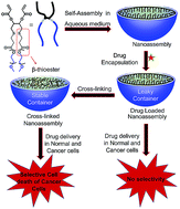 Graphical abstract: Programmed supramolecular nanoassemblies: enhanced serum stability and cell specific triggered release of anti-cancer drugs