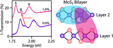 Graphical abstract: Interlayer excitons in bilayer MoS2 under uniaxial tensile strain
