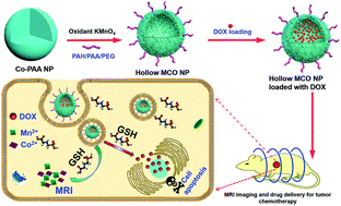 Graphical abstract: Biodegradable hollow manganese/cobalt oxide nanoparticles for tumor theranostics