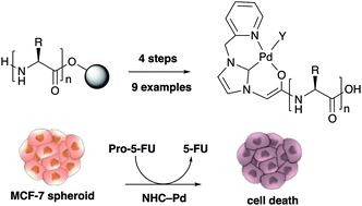 Graphical abstract: Solid-phase synthesis of biocompatible N-heterocyclic carbene–Pd catalysts using a sub-monomer approach
