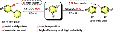 Graphical abstract: Selective synthesis of pyridyl pyridones and oxydipyridines by transition-metal-free hydroxylation and arylation of 2-fluoropyridine derivatives