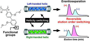 Graphical abstract: Helicity induction and memory effect in poly(biphenylylacetylene)s bearing various functional groups and their use as switchable chiral stationary phases for HPLC