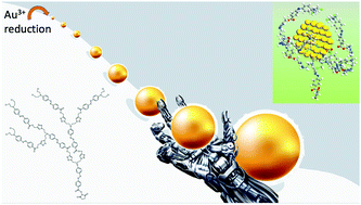 Graphical abstract: Soft nanohand grabs a growing nanoparticle
