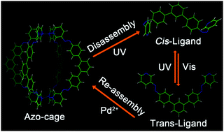 Graphical abstract: Light-triggered reversible disassembly of stimuli-responsive coordination metallosupramolecular Pd2L4 cages mediated by azobenzene-containing ligands