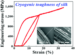 Graphical abstract: Cryogenic toughness of natural silk and a proposed structure–function relationship