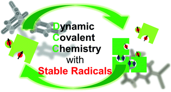 Graphical abstract: Dynamic covalent bonds: approaches from stable radical species