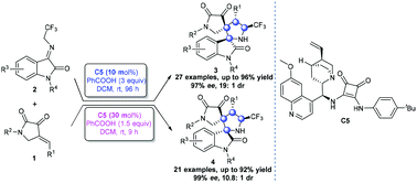 Graphical abstract: Diastereodivergent construction of bispiro[oxindole-bi-pyrrolidine]s with four consecutive stereocenters via asymmetric [3 + 2] cycloaddition of 2,3-dioxopyrrolidines using identical catalysts