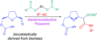 Graphical abstract: Zinc(ii)-mediated diastereoselective Passerini reactions of biocatalytically desymmetrised renewable inputs
