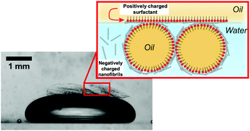 Graphical abstract: Charge-driven interfacial gelation of cellulose nanofibrils across the water/oil interface