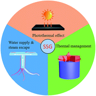 Graphical abstract: Solar steam generation based on the photothermal effect: from designs to applications, and beyond