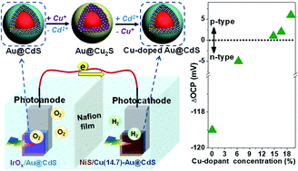 Graphical abstract: Electronic doping-enabled transition from n- to p-type conductivity over Au@CdS core–shell nanocrystals toward unassisted photoelectrochemical water splitting