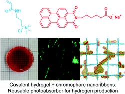 Graphical abstract: Chromophore amphiphile–polyelectrolyte hybrid hydrogels for photocatalytic hydrogen production