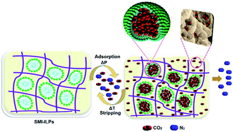 Graphical abstract: Ionic liquid polymer materials with tunable nanopores controlled by surfactant aggregates: a novel approach for CO2 capture