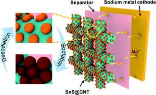 Graphical abstract: Monodispersed SnS nanoparticles anchored on carbon nanotubes for high-retention sodium-ion batteries